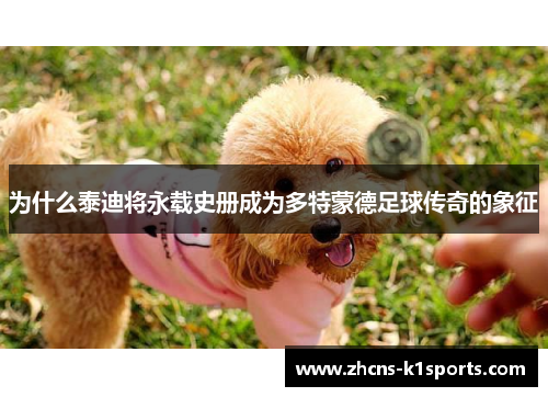 为什么泰迪将永载史册成为多特蒙德足球传奇的象征