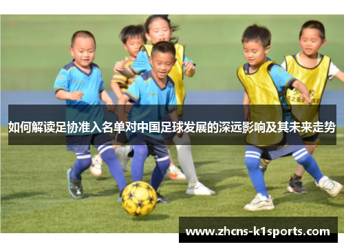如何解读足协准入名单对中国足球发展的深远影响及其未来走势